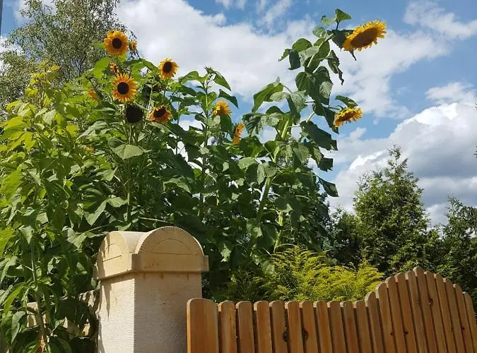 Zur Ausspanne Vakantiehuis Dresden