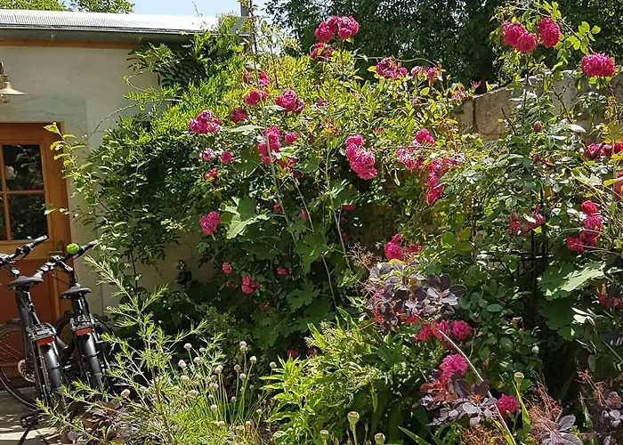 Vakantiehuis Zur Ausspanne Dresden