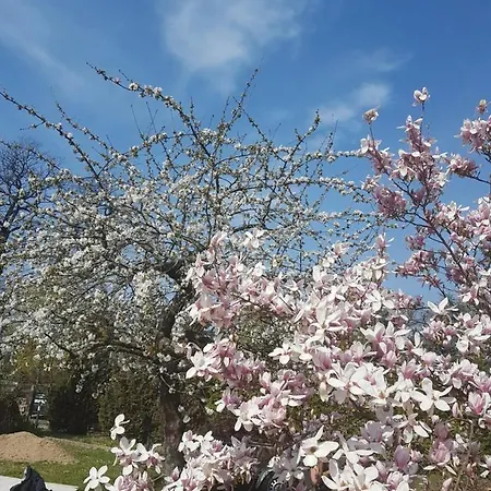Zur Ausspanne Casa vacanze *