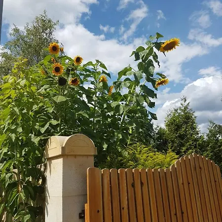 Zur Ausspanne Casa vacanze Dresda