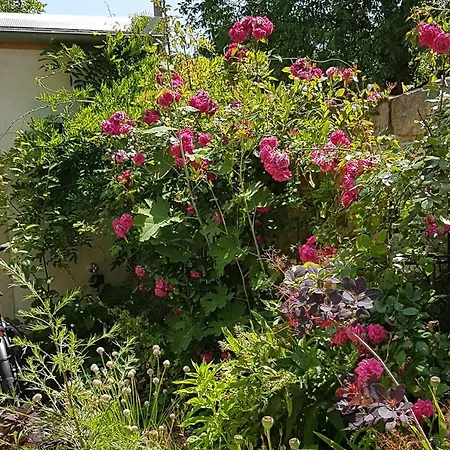 Casa vacanze Zur Ausspanne Dresda